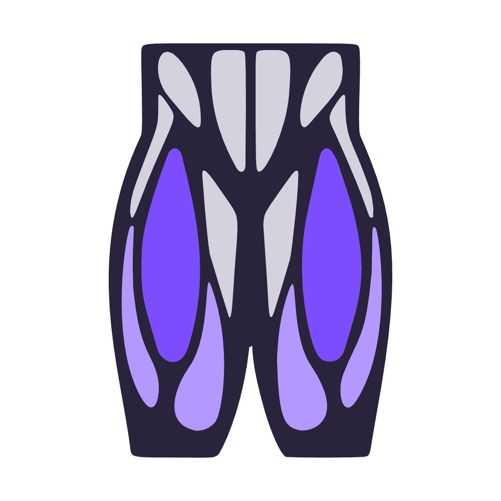 Quadrizeps