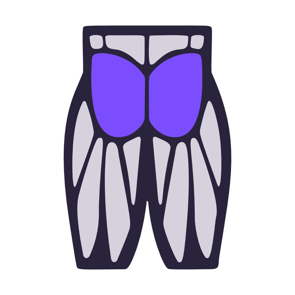 Gesäß