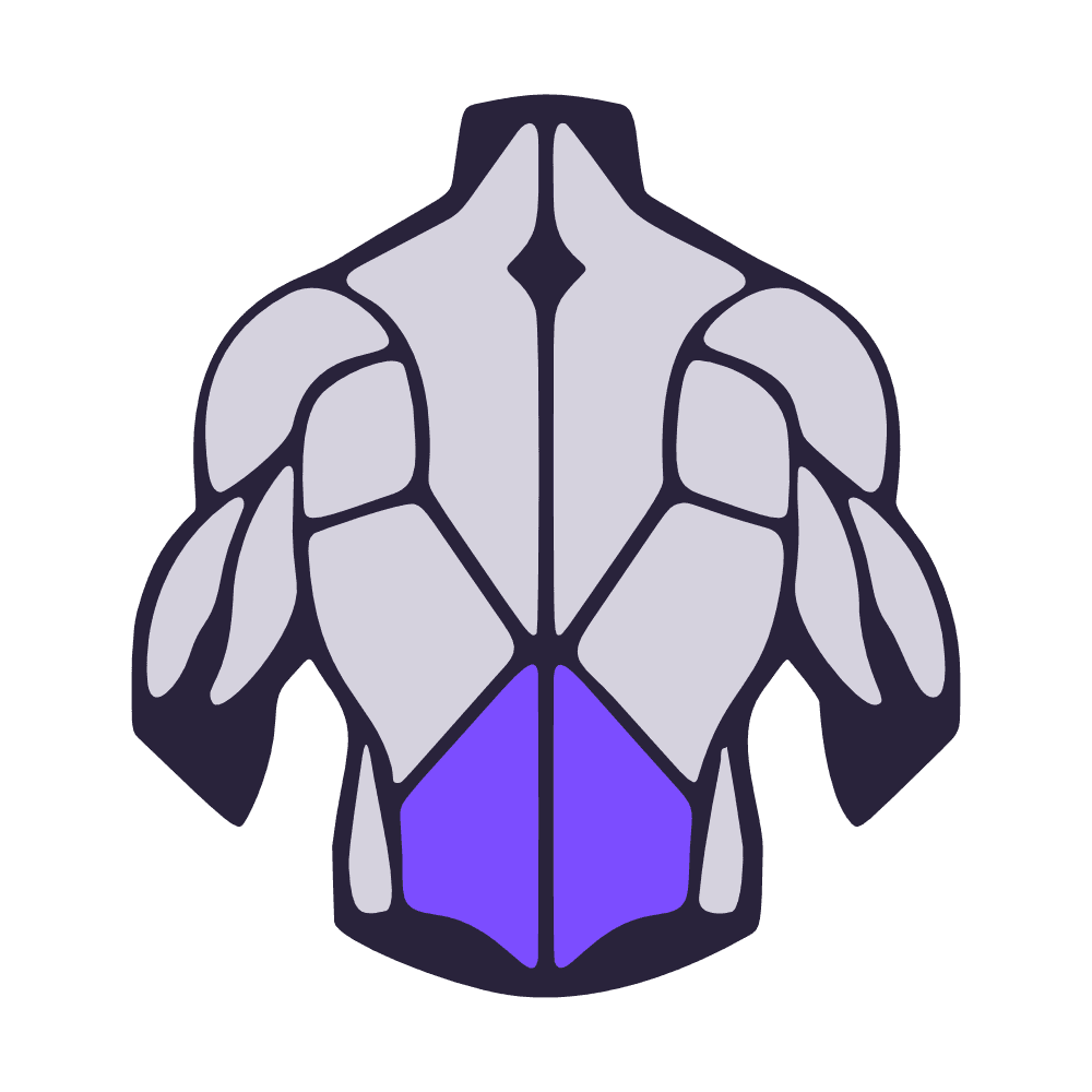 Rückenstrecker