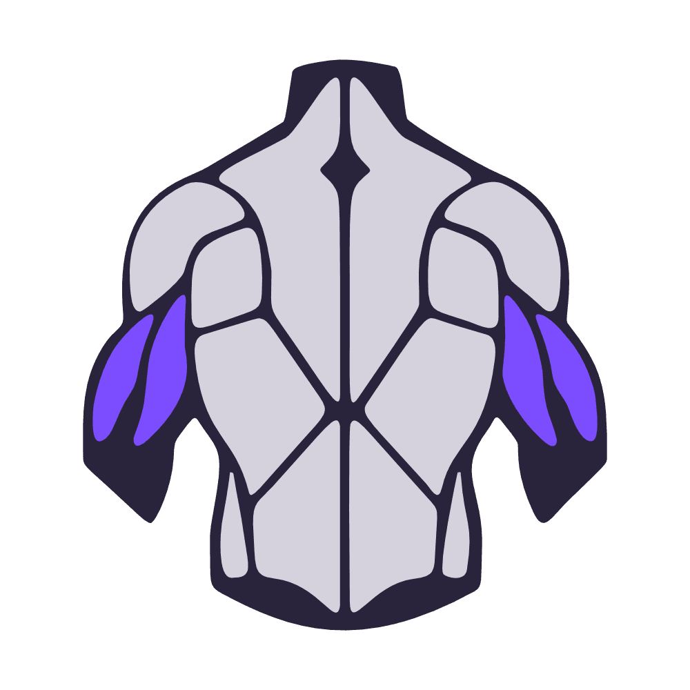 Muskelgruppe: Trizeps